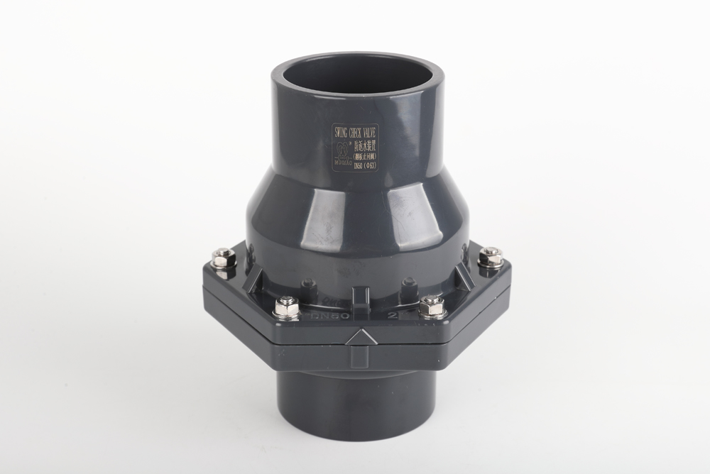 雄县翻板式止回阀