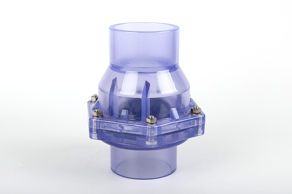 雄县透明翻板式止回阀